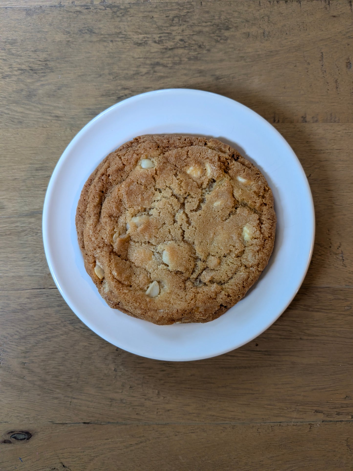 White Chip Macadamia Nut Cookie